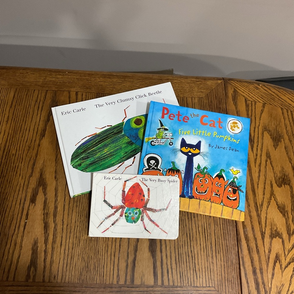 Very busy spider 🕷️ very clumsy click beetle 🪲 & 5 little pumpkins 🎃 Halloween